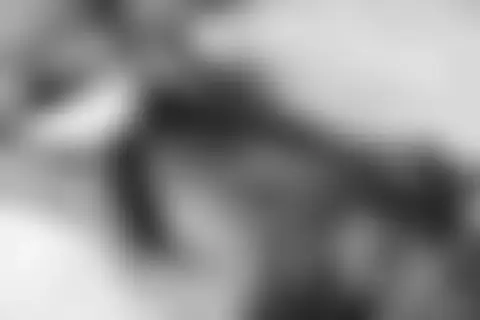 Locked photo 50