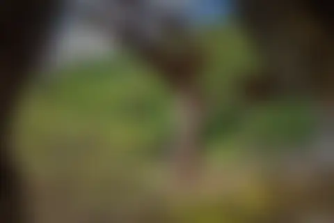 Locked photo 32