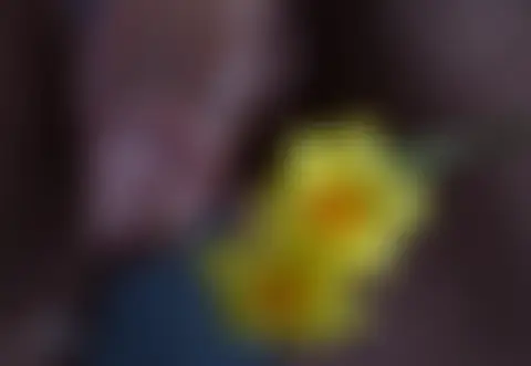 Locked photo 29