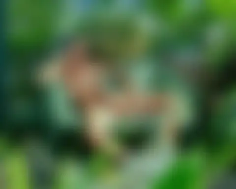 Locked photo 20