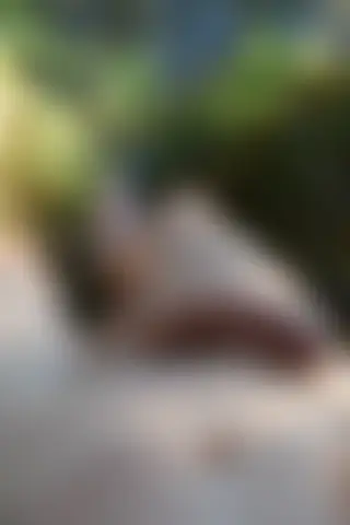 Locked photo 22