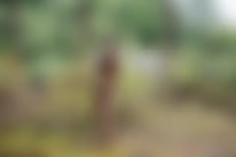 Locked photo 18
