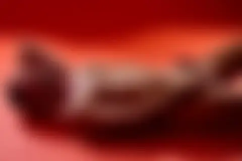 Locked photo 12