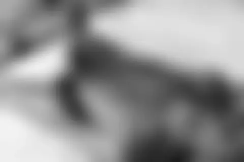 Locked photo 43