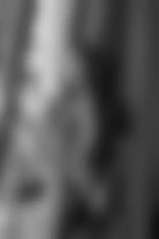 Locked photo 19