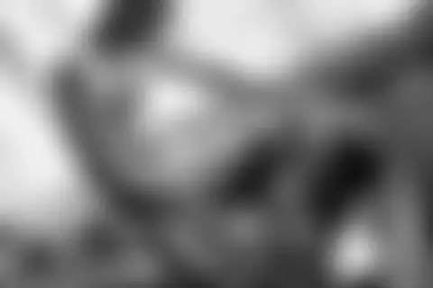 Locked photo 32