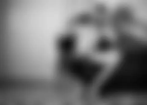 Locked photo 5