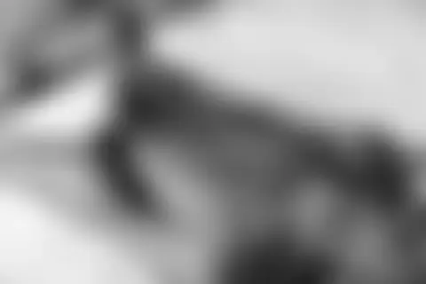 Locked photo 45