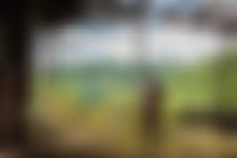 Locked photo 38