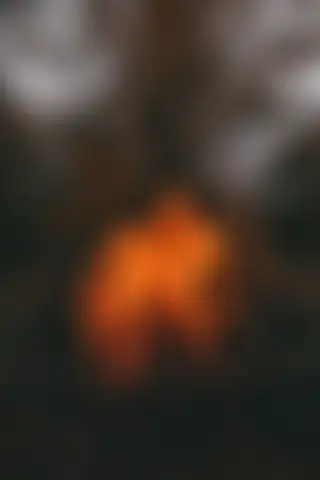 Locked photo 56