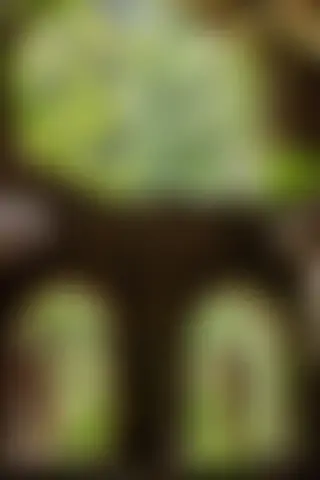 Locked photo 11