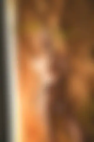 Locked photo 6