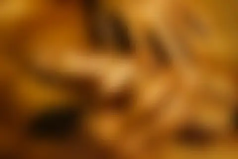 Locked photo 8