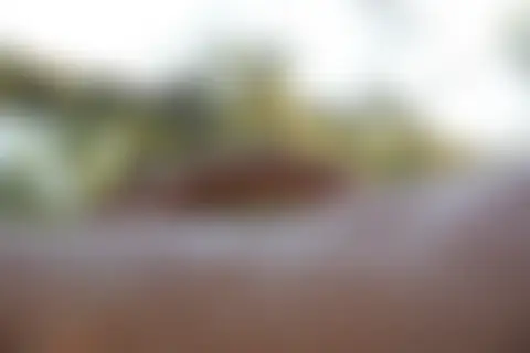 Locked photo 7