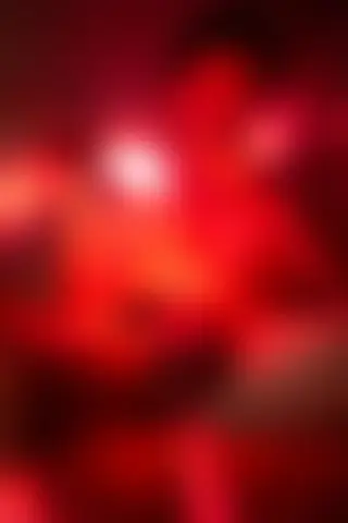Locked photo 5