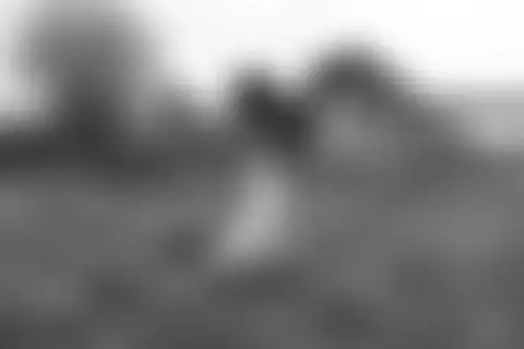 Locked photo 11
