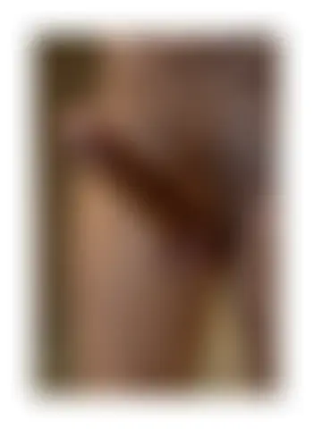 Locked photo 8