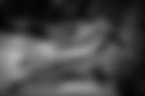 Locked photo 19