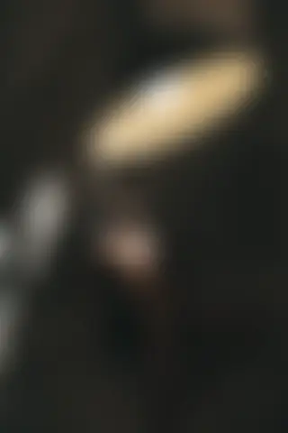 Locked photo 28