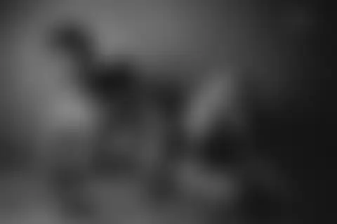 Locked photo 6