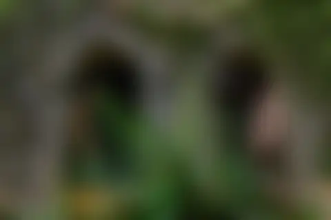 Locked photo 18