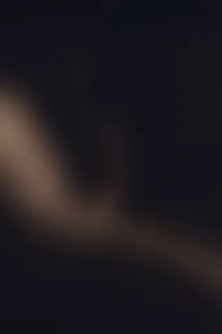 Locked photo 12