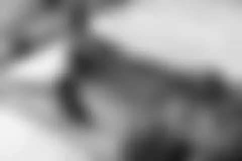 Locked photo 42