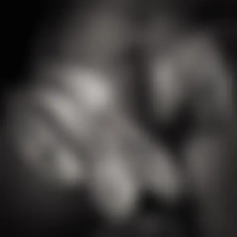Locked photo 2