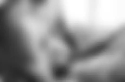 Locked photo 43