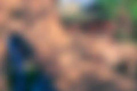 Locked photo 7