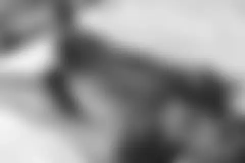Locked photo 47
