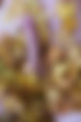 Locked photo 4