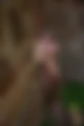 Locked photo 20