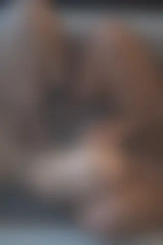 Locked photo 18